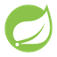 Spring boot
